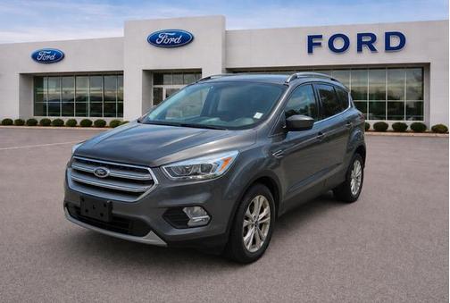 Magnetic 2017 Ford Escape SE
