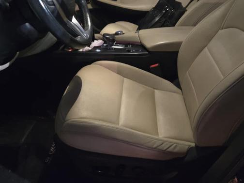 2019 INFINITI QX50 Luxe