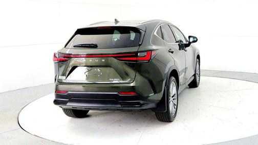 Nori Green Pearl 2024 Lexus NX 350 Luxury