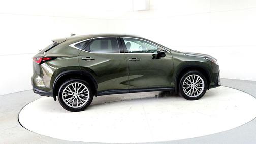 Nori Green Pearl 2024 Lexus NX 350 Luxury