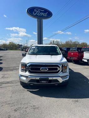 OXFORD WHITE 2021 Ford F-150 XLT