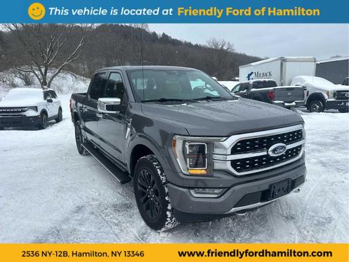 2021 Ford F-150 Platinum
