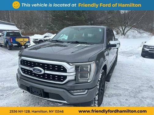 2021 Ford F-150 Platinum