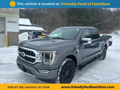 2021 Ford F-150 Platinum