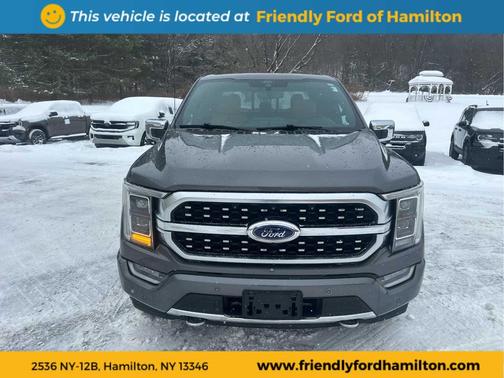 2021 Ford F-150 Platinum