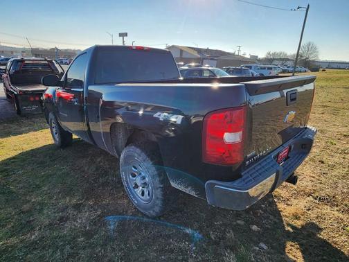 2010 Chevrolet Silverado 1500 Work Truck