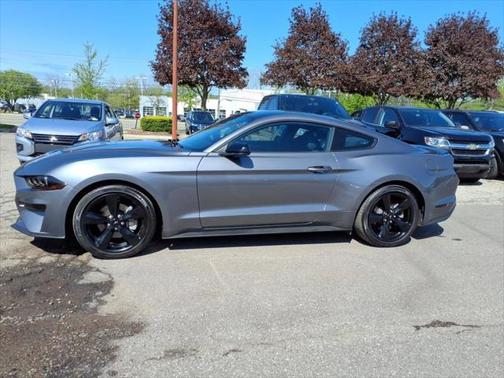 2022 Ford Mustang EcoBoost