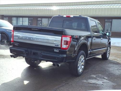 2022 Ford F-150 Platinum