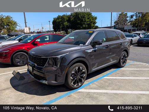 Panthera Metal 2025 Kia Sorento SX