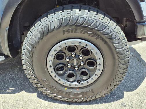 AVALANCHE 2024 Ford F-150 Raptor