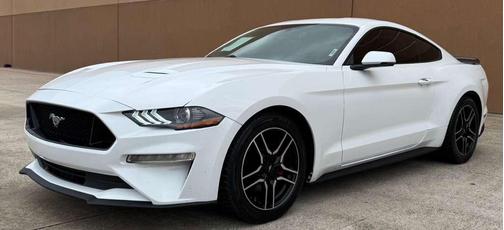 Oxford White 2019 Ford Mustang EcoBoost Premium