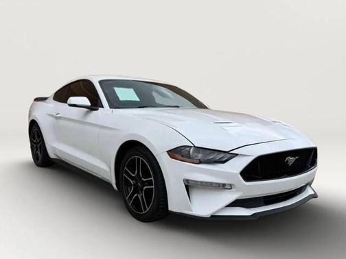 Oxford White 2019 Ford Mustang EcoBoost Premium