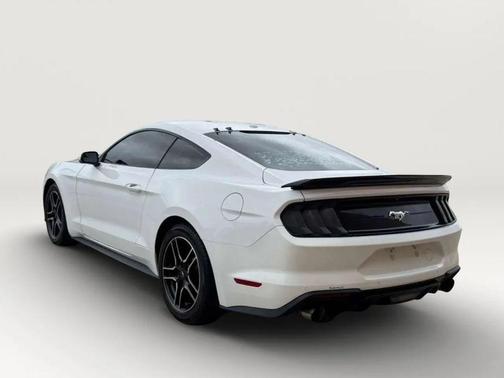 Oxford White 2019 Ford Mustang EcoBoost Premium