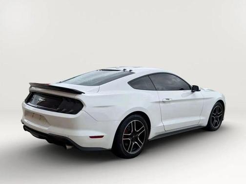 Oxford White 2019 Ford Mustang EcoBoost Premium