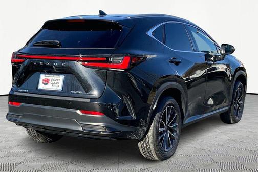 2025 Lexus NX 250 Premium