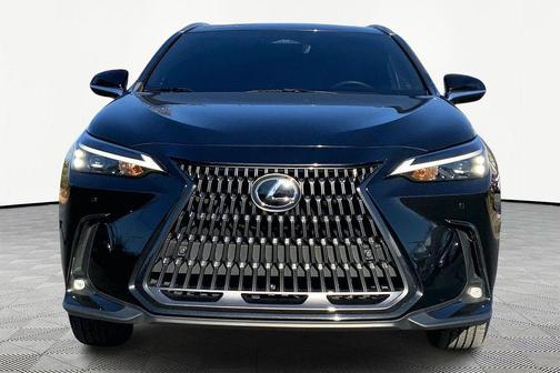 2025 Lexus NX 250 Premium