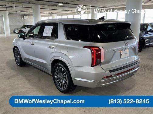 Typhoon Silver 2024 Hyundai PALISADE Calligraphy