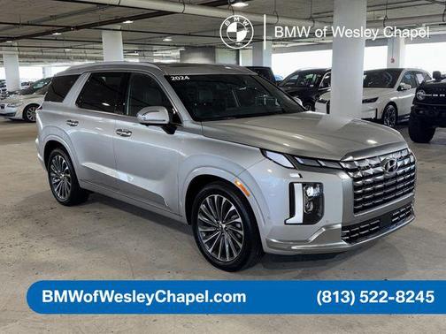 Typhoon Silver 2024 Hyundai PALISADE Calligraphy