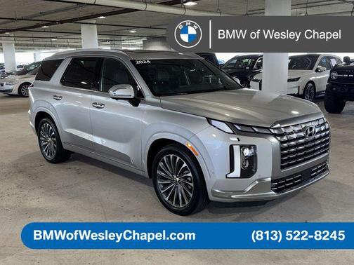 Typhoon Silver 2024 Hyundai PALISADE Calligraphy