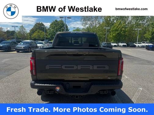 Shelter Green 2025 Ford F-150 Raptor