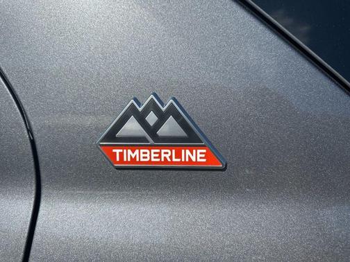 Gray Metallic 2023 Ford Explorer Timberline