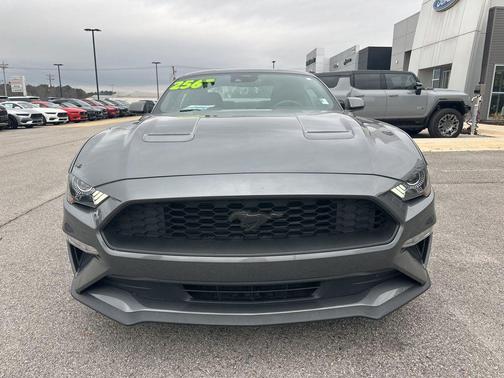 2022 Ford Mustang EcoBoost