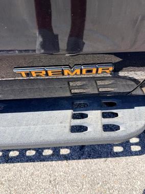 Agate Black Metallic 2025 Ford Expedition Tremor