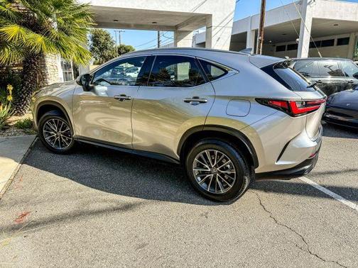 2024 Lexus NX 350 Base