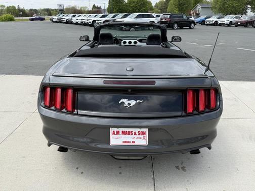Magnetic 2017 Ford Mustang EcoBoost Premium