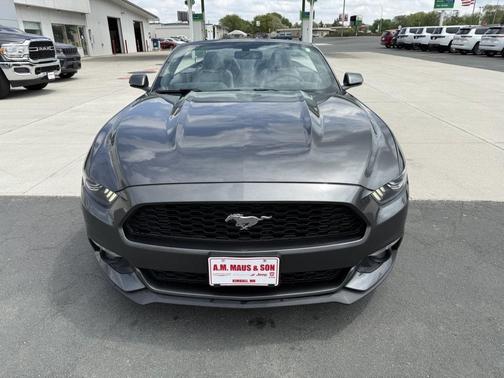 Magnetic 2017 Ford Mustang EcoBoost Premium