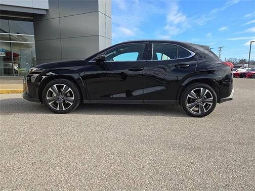 2025 Lexus UX 300h Premium