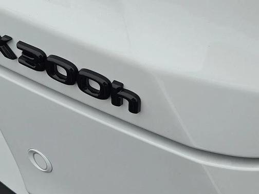 Ultra White 2026 Lexus UX 300h Premium