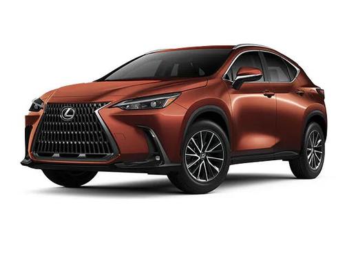 2025 Lexus NX 350 350 Base