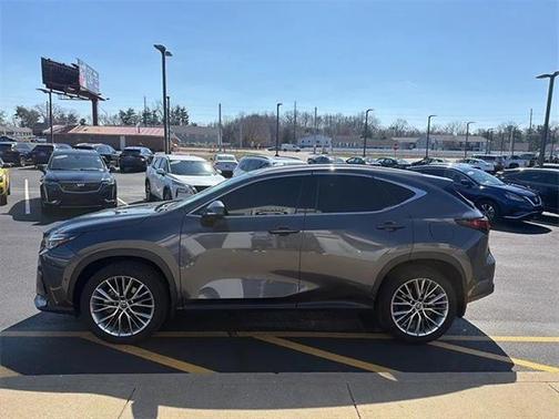 2024 Lexus NX 350h Luxury