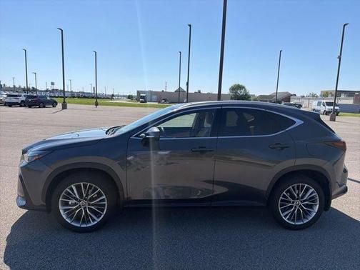 Cloudburst Gray 2025 Lexus NX 350 Premium