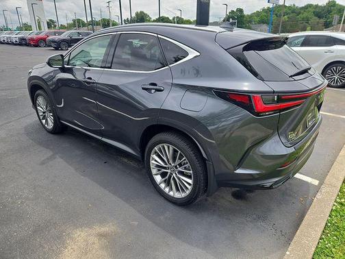 Cloudburst Gray 2025 Lexus NX 350 Premium