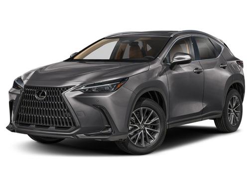 Cloudburst Gray 2025 Lexus NX 350 Premium