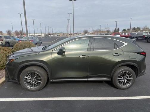 2025 Lexus NX 350h AWD