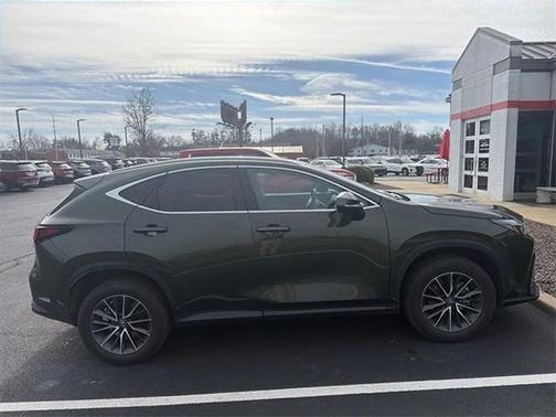 2025 Lexus NX 350h AWD