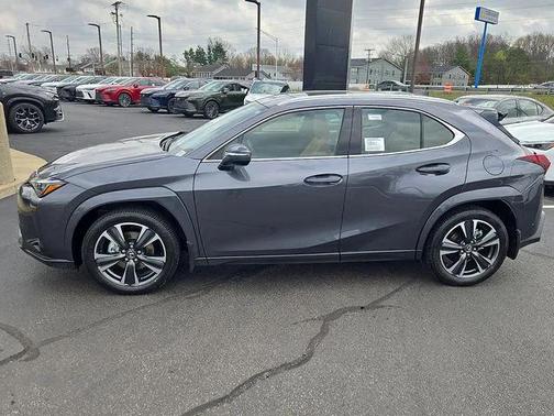 Cloudburst Gray 2026 Lexus UX 300h Premium