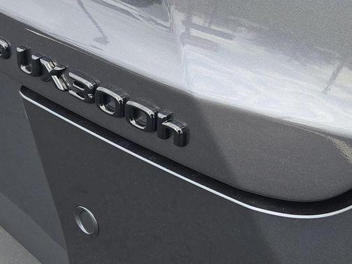 Cloudburst Gray 2026 Lexus UX 300h Premium