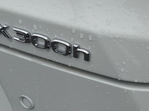 Ultra White 2026 Lexus UX 300h Premium