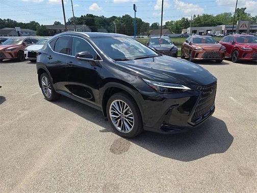 2025 Lexus NX 350h Luxury