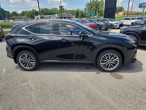 2025 Lexus NX 350h Luxury