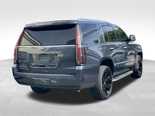 Shadow 2019 Cadillac Escalade Luxury