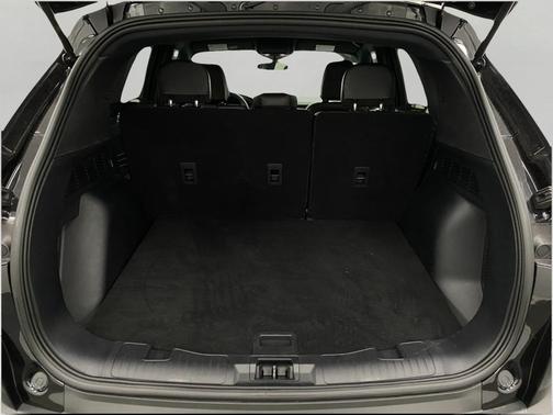 AGATE BLACK 2025 Ford Escape ST-Line
