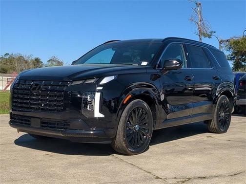2025 Hyundai PALISADE Calligraphy Night Edition