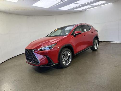 2025 Lexus NX 350h Luxury
