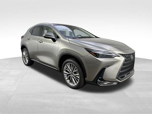 2025 Lexus NX 350h Luxury