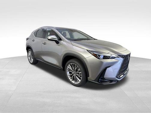 2025 Lexus NX 350h Premium